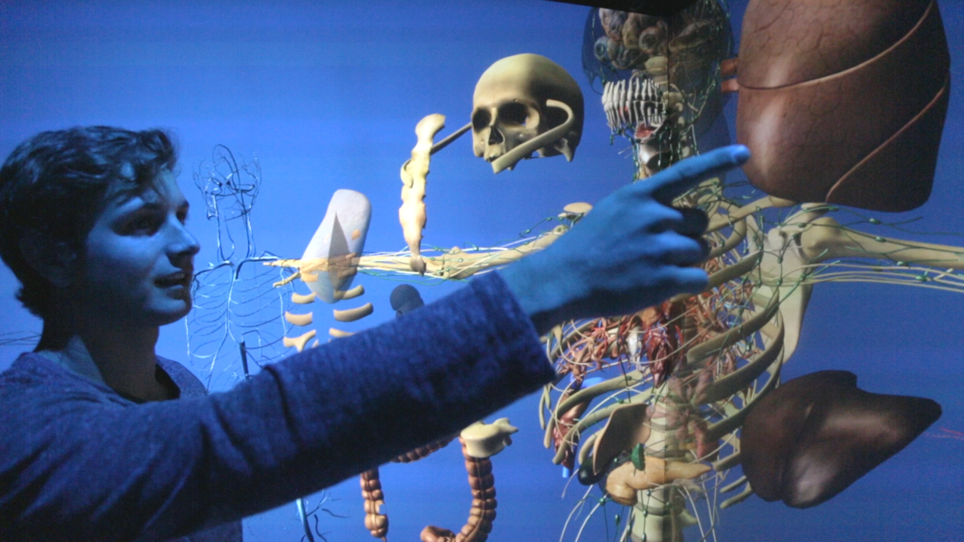 Simulazione di anatomia virtuale