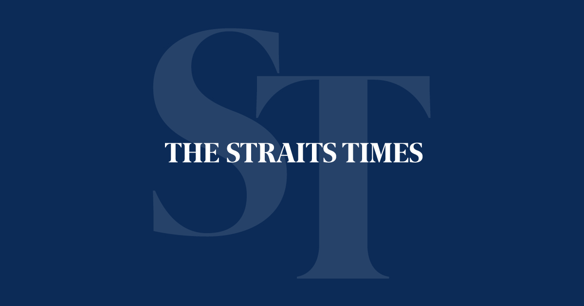Straits Times: New agency GovTech to lead tech push in public sector