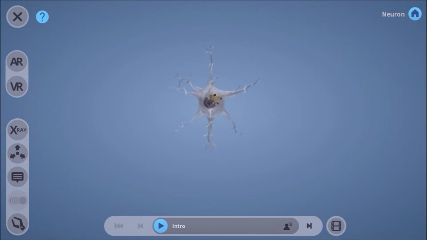 Augmented Reality Lesson about the neuron