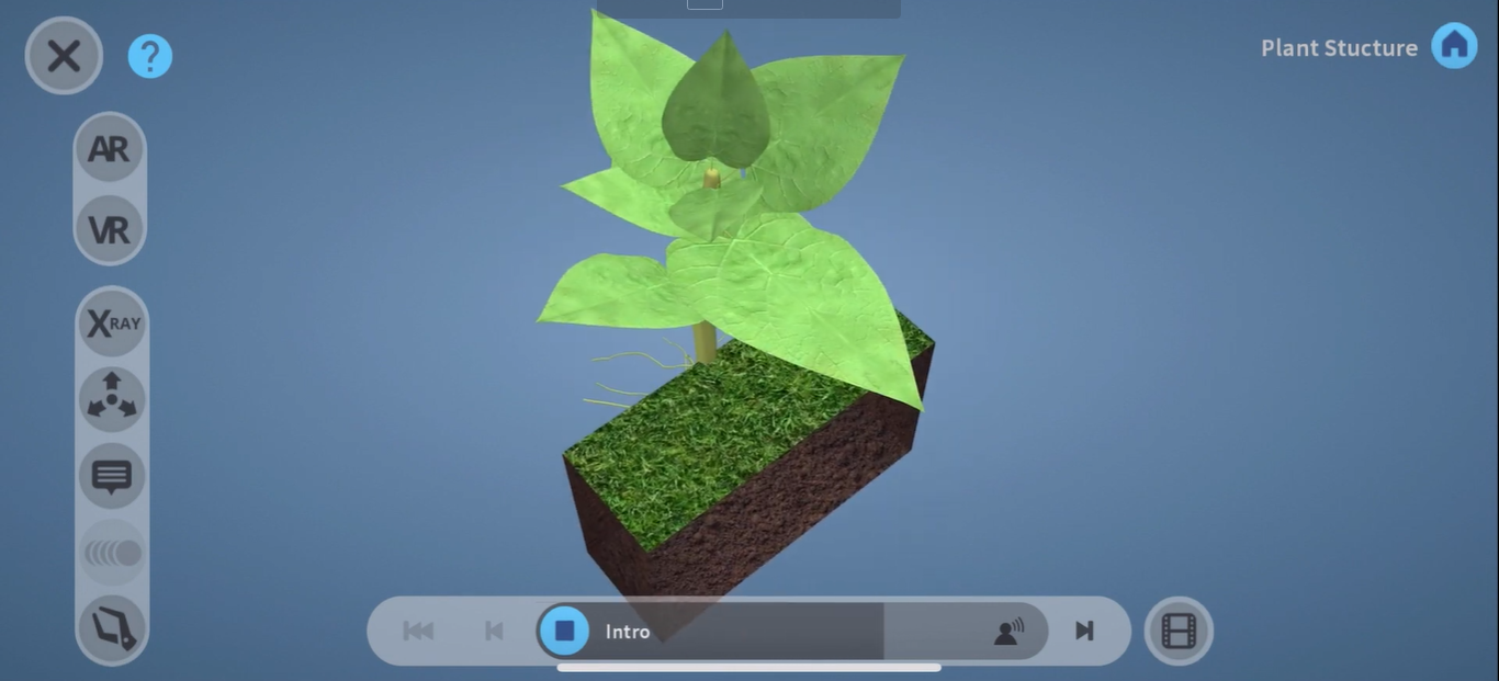 Singapore Student Creates a Biology AR & VR lesson about plants