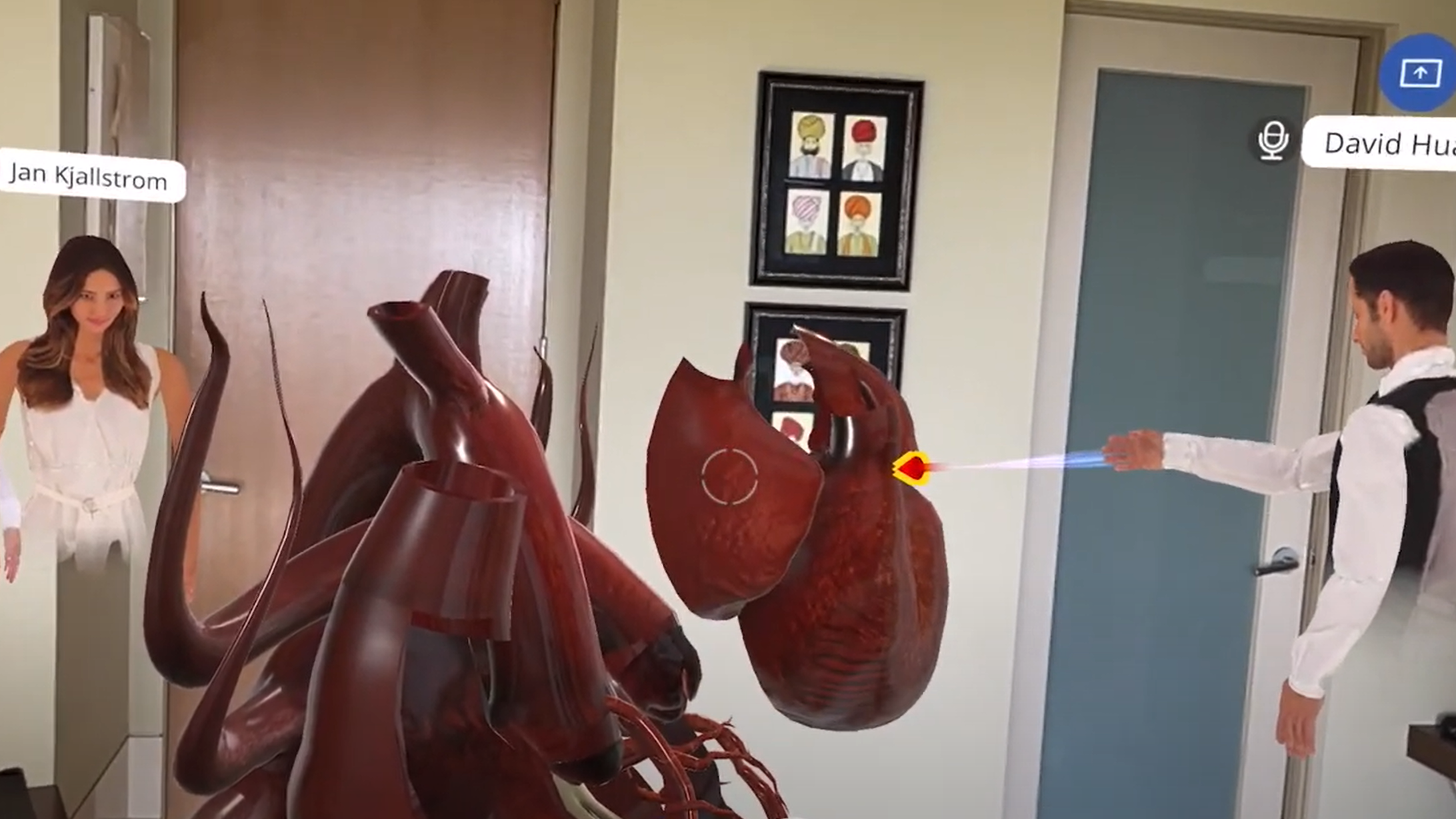 Heart Anatomy Dissection in Spatial Meetings